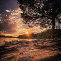 Lesen LED Bilder Bewertungen